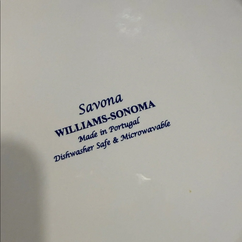 Williams Sonoma Savona 14 in Ceramic Pasta/Salad Bowl EUC